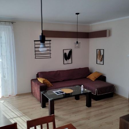 Green Apartment Z Bezplatnym Parkingiem Olsztyn  Luaran gambar