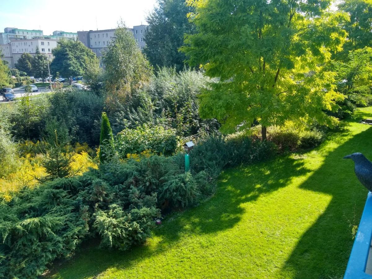 Green Apartment Z Bezplatnym Parkingiem Olsztyn  Luaran gambar