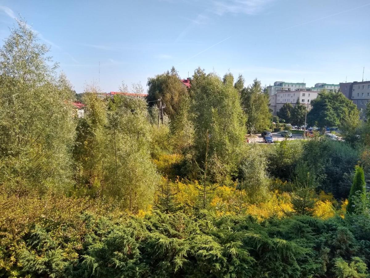 Green Apartment Z Bezplatnym Parkingiem Olsztyn  Luaran gambar