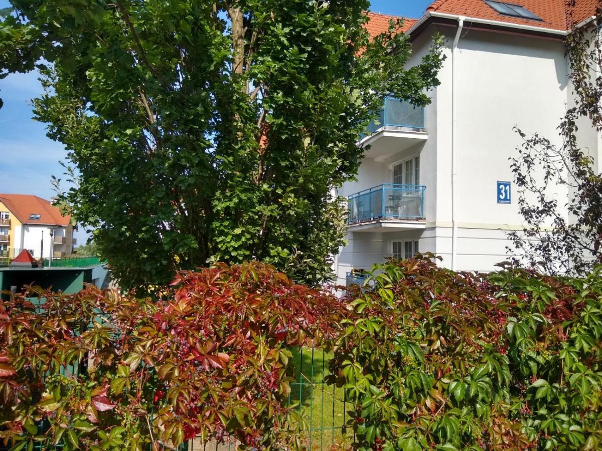 Green Apartment Z Bezplatnym Parkingiem Olsztyn  Luaran gambar